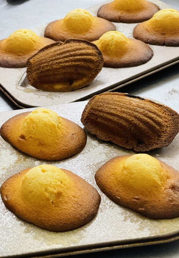 BÁNH MADELEINE CON SÒ ( HỘP 9C )