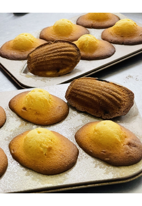BÁNH MADELEINE CON SÒ ( HỘP 9C )