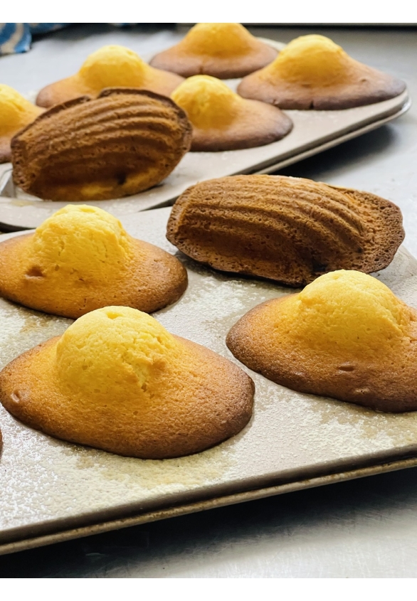 BÁNH MADELEINE CON SÒ ( HỘP 9C )